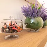 Palazzo Della Porta Bed & Breakfast